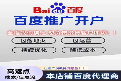 百度竞价入门必看：实操技巧与成功案例